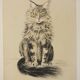 Basile Titoff - Lithograph signed - Orion Chat