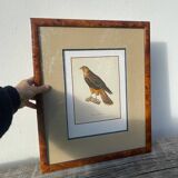 Wooden bird frame