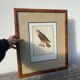 Cadre oiseau bois