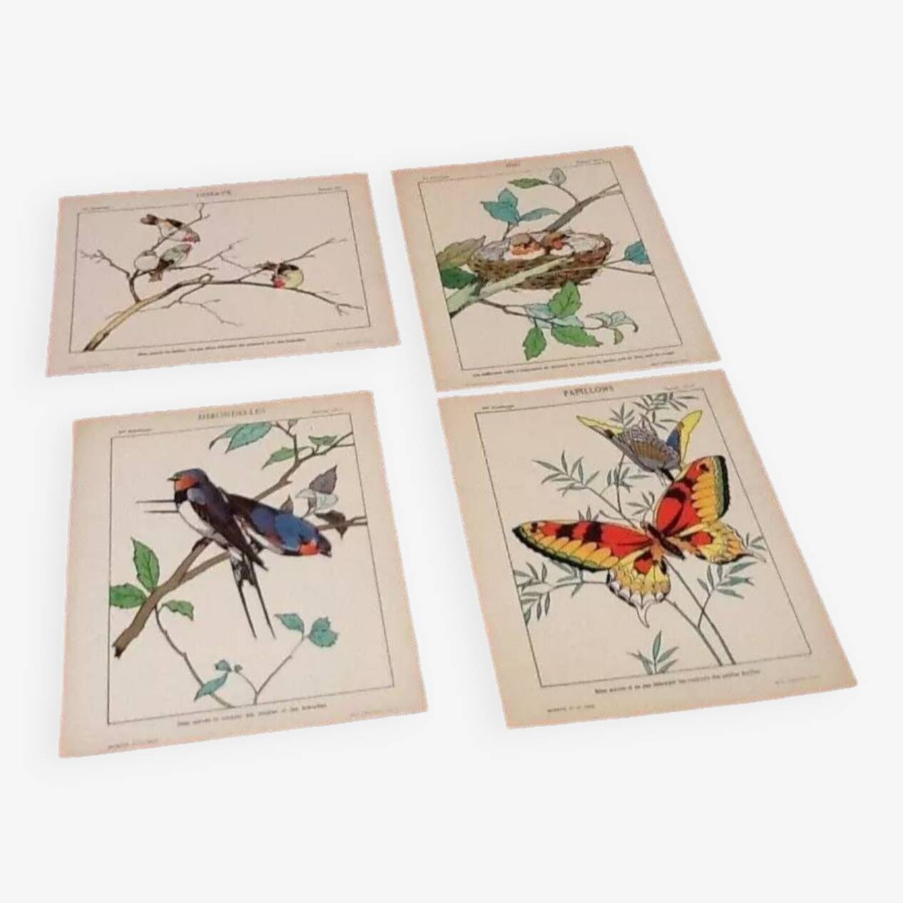 4 affiches Oiseaux, Papillons, Nid