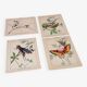 4 affiches Oiseaux, Papillons, Nid