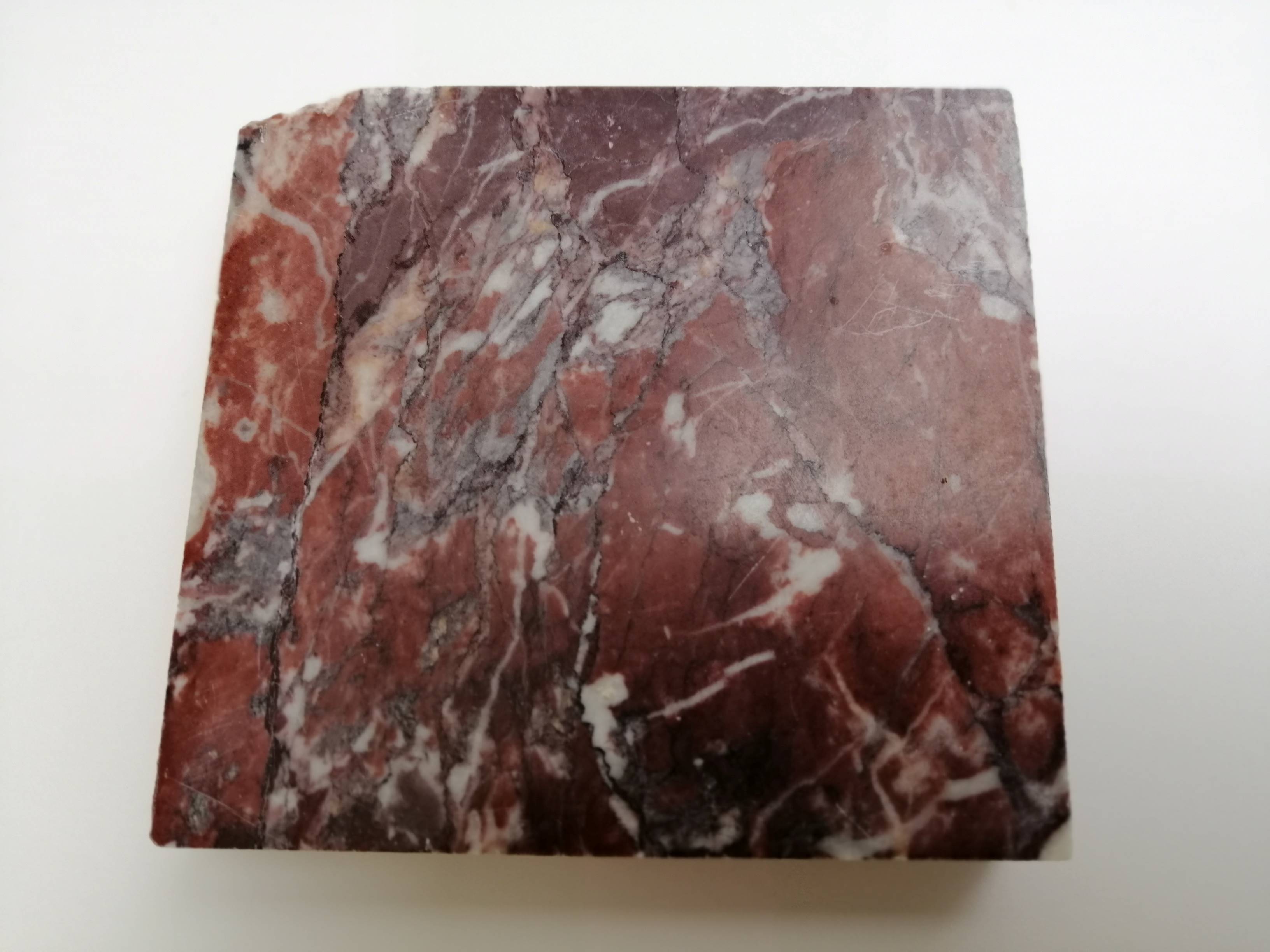 Ancient gorgon coral