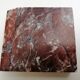 Corail gorgone ancien