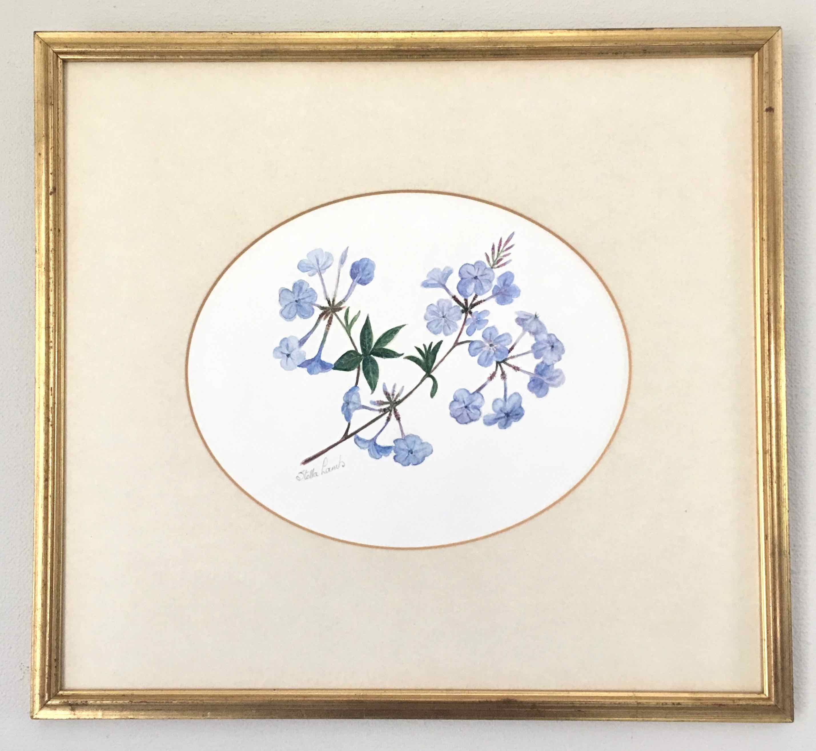 Tableau aquarelle fleurs de plumbago