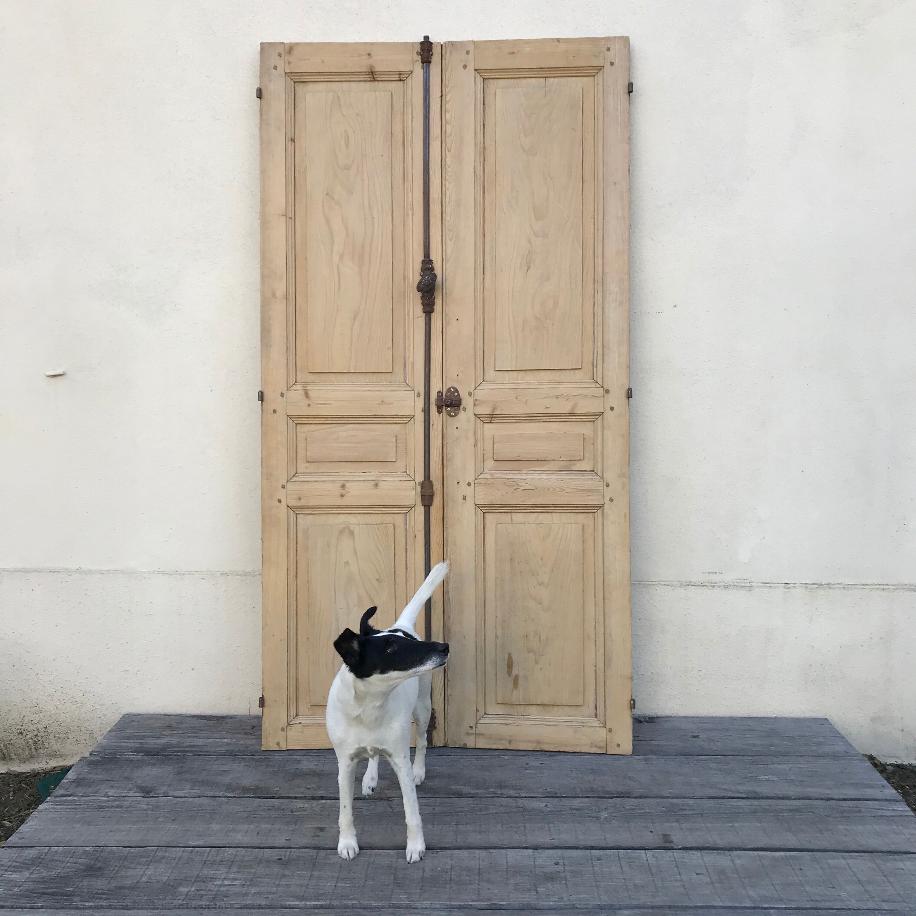 Paire de portes de placard vintage