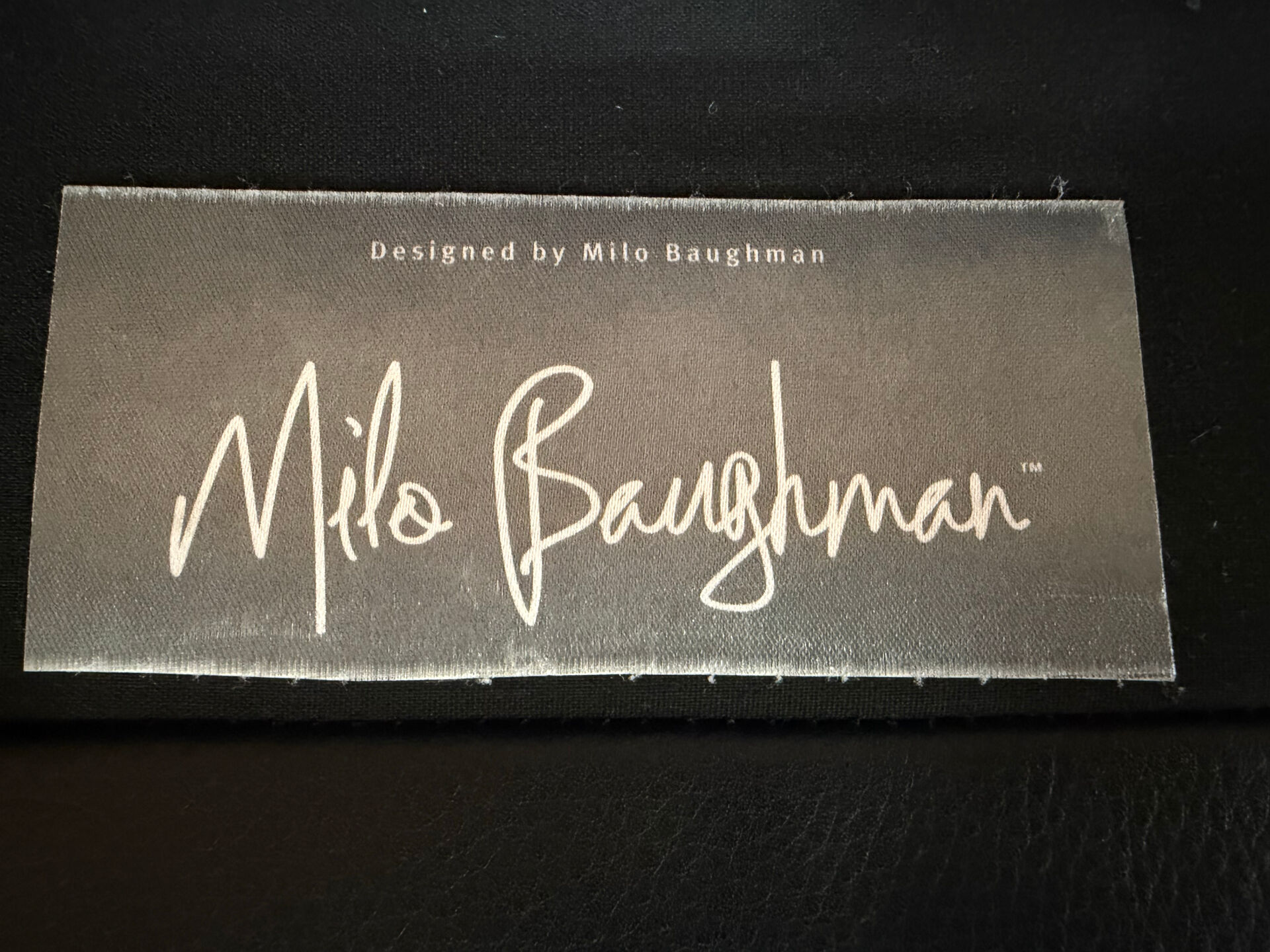 2 chairs Crate & Barrel Milo Baughman