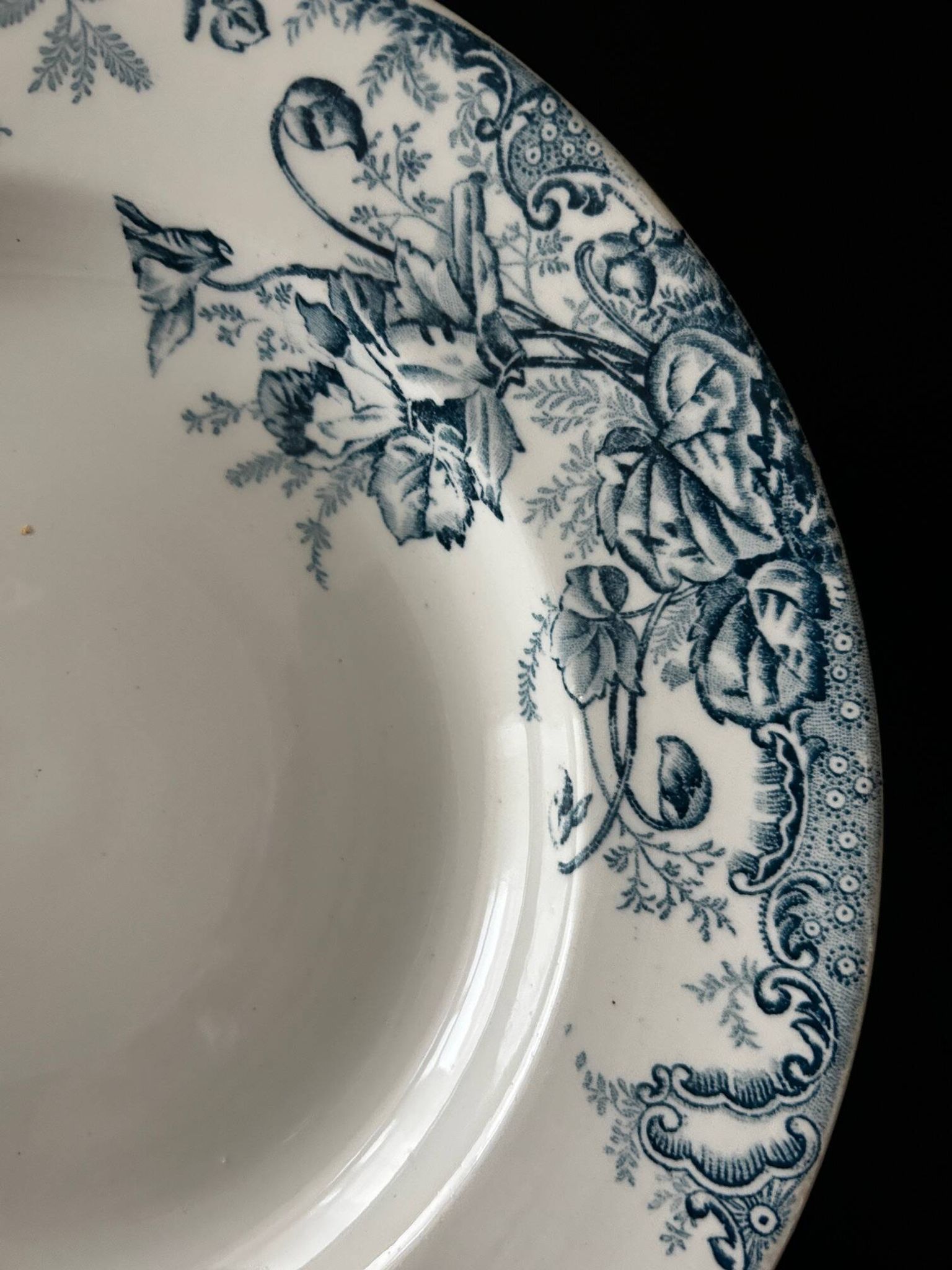 13 deep plates Terre de fer Cyclamens Louis Graves