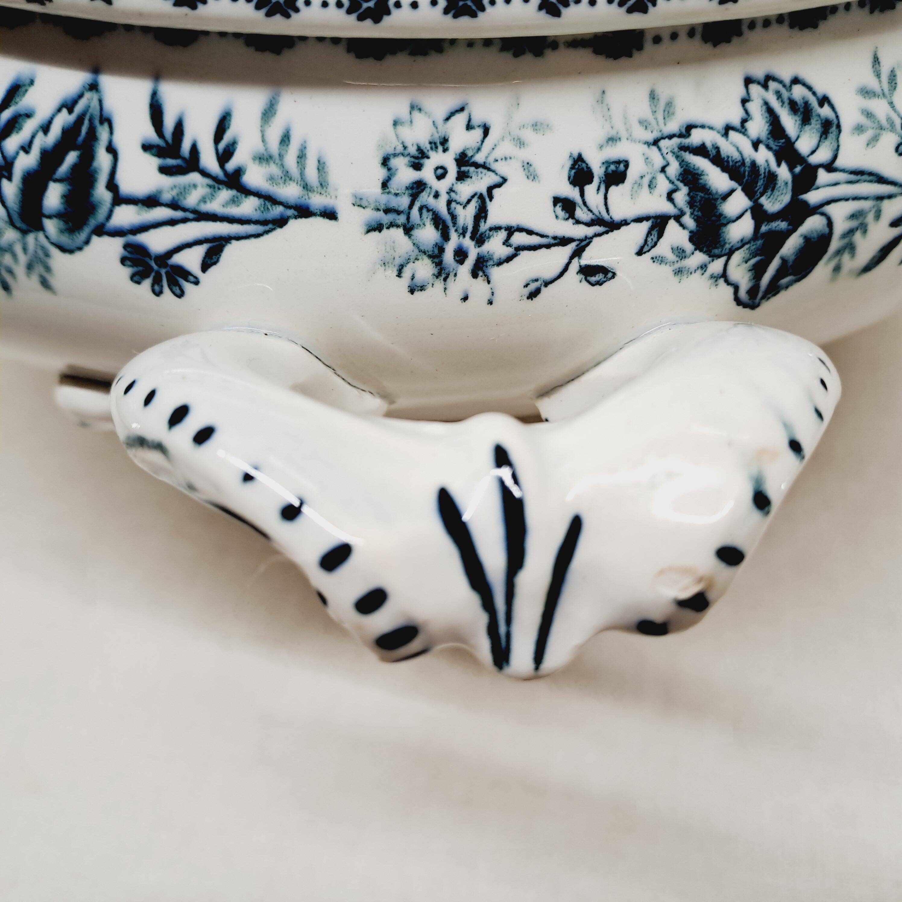 Vegetable Terre de Fer Onaing