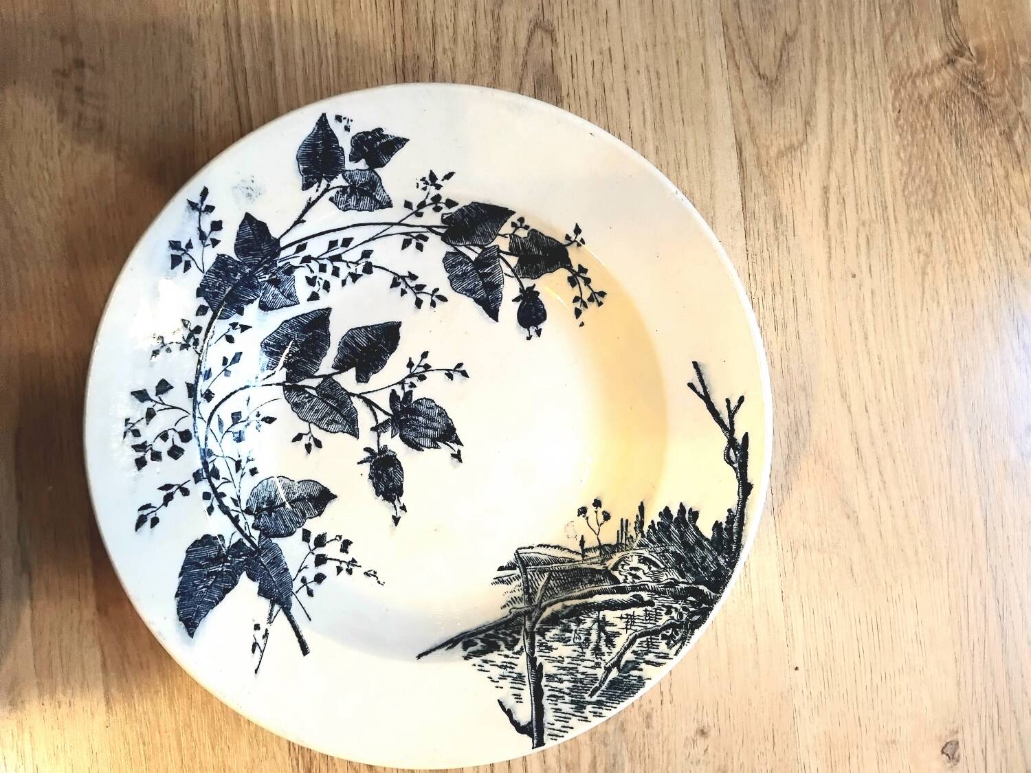 Set of 4 mismatched blue Terre de Fer soup plates