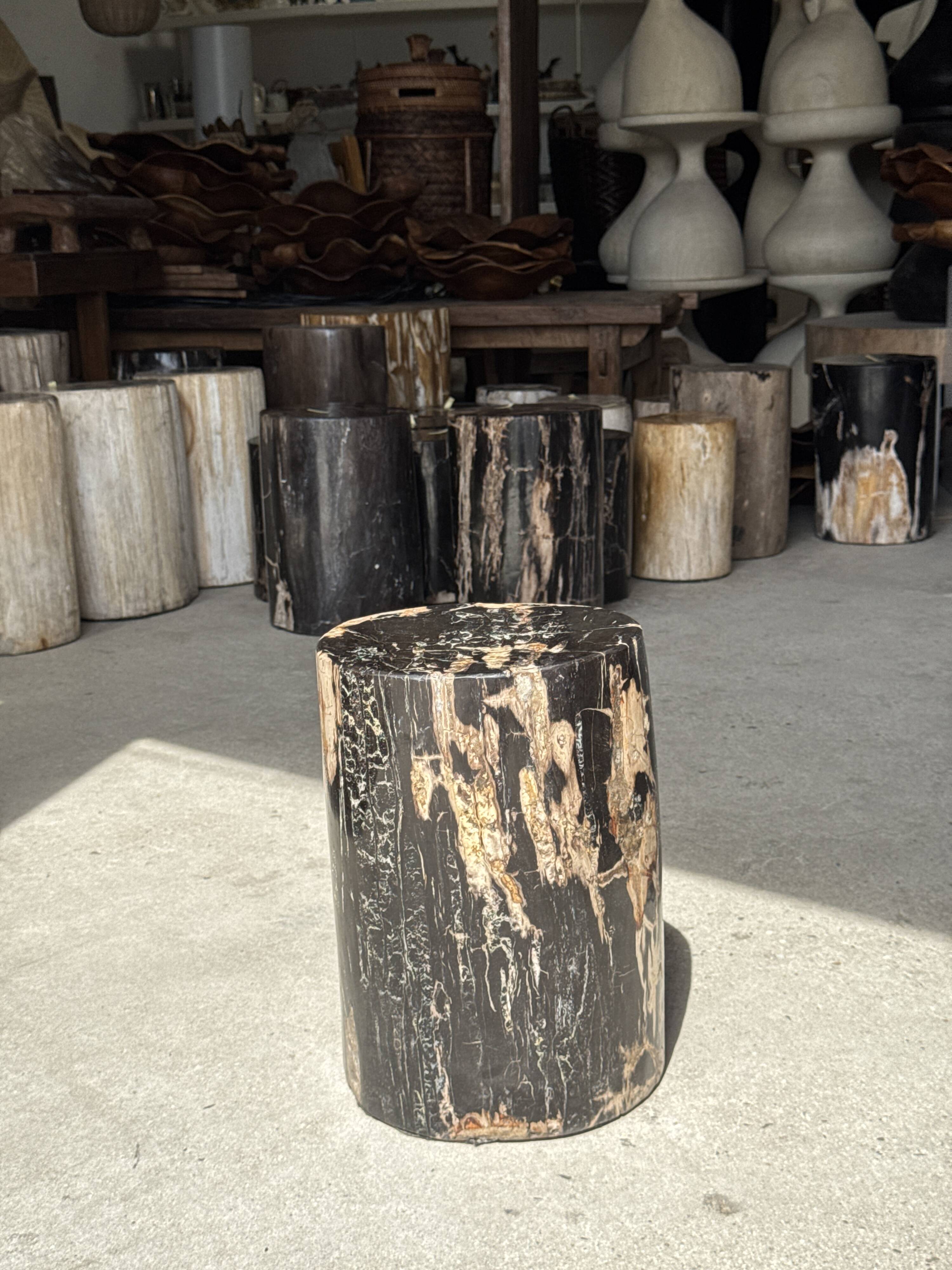 Black petrified wood side table with beige side H35 D24 - 3352