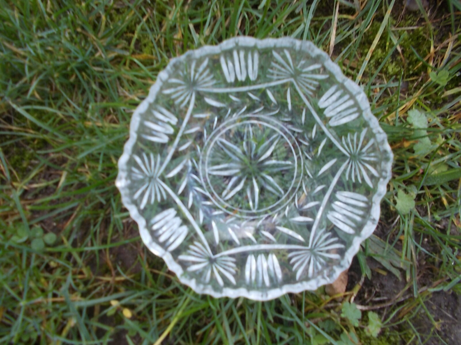 Ensemble 2 coupelles en verre