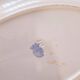 oval plate Badonviller