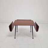 Italian Mid-Century Modern Coffee Table with Magazine Racks, 1950s