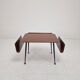 Italian Mid-Century Modern Coffee Table with Magazine Racks, 1950s