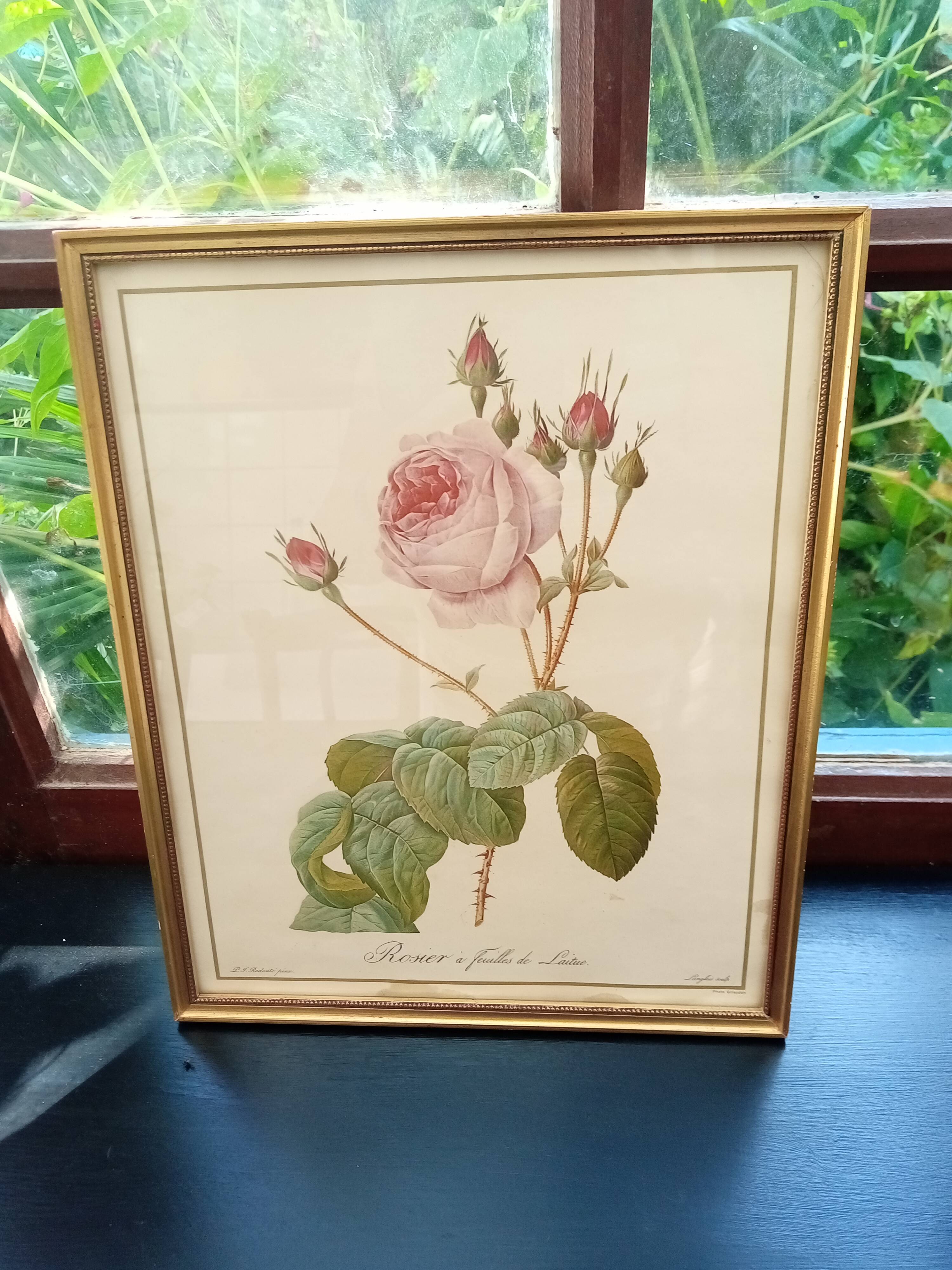 Redouté botanical board