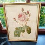 Redouté botanical board