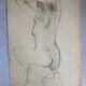 Female nude drawing