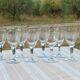 8 old water glasses engraved with a large frieze late XIX-XXth