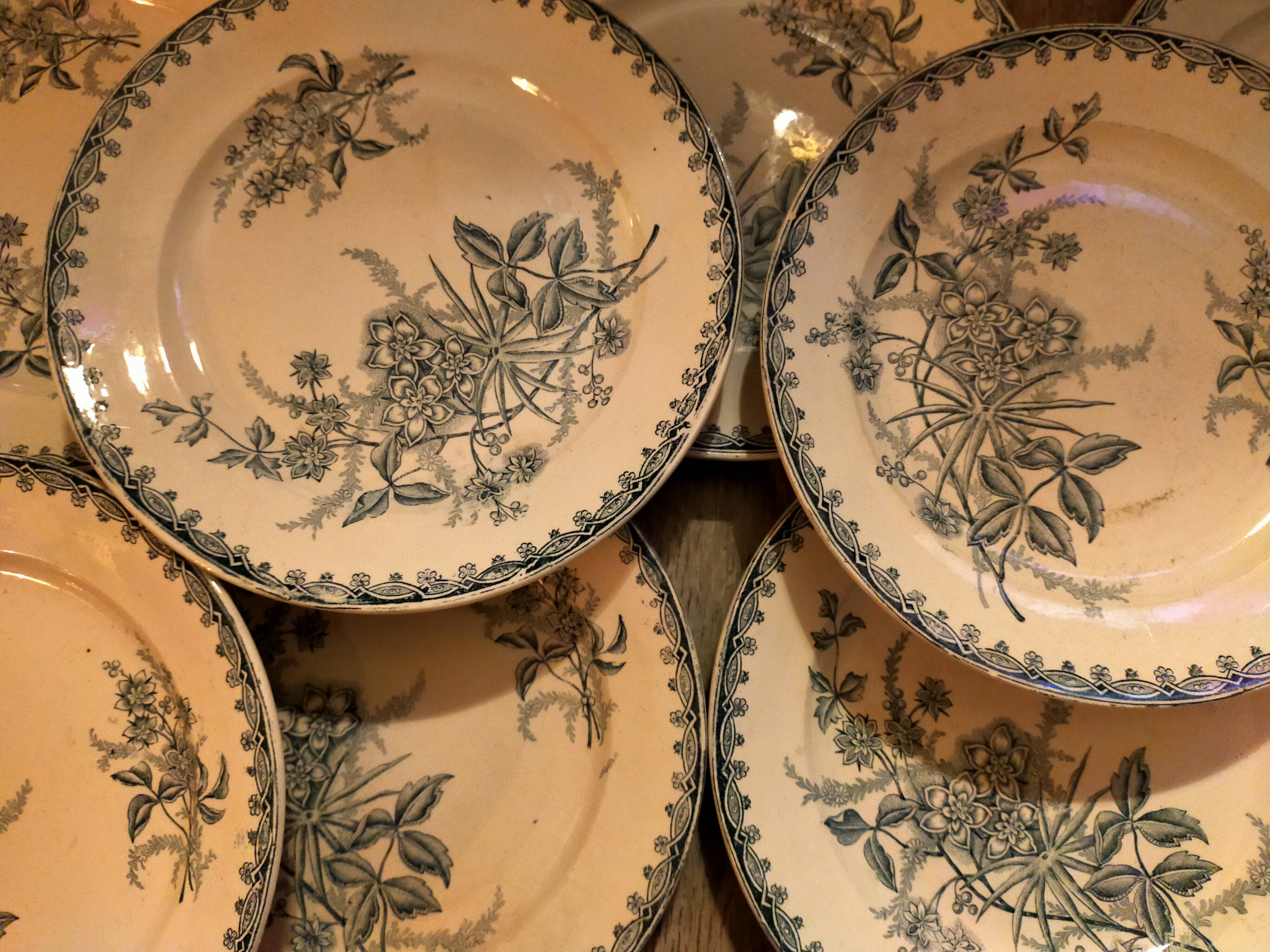 Set of ten vintage Terre de Fer Pervenche pattern plates