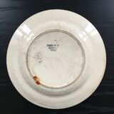Terre de fer plate