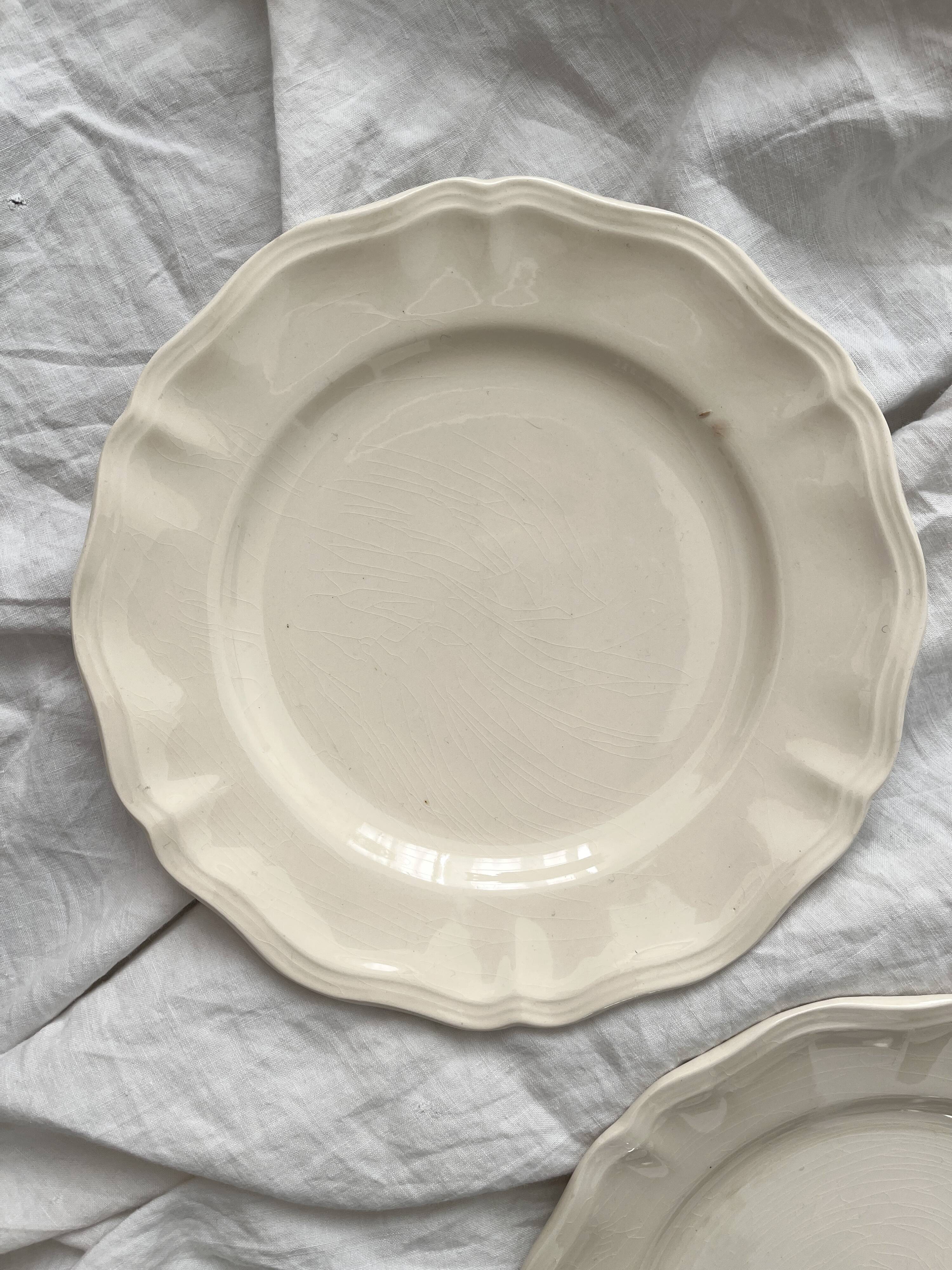 5 Sarreguemines ivory scalloped earthenware dinner plates