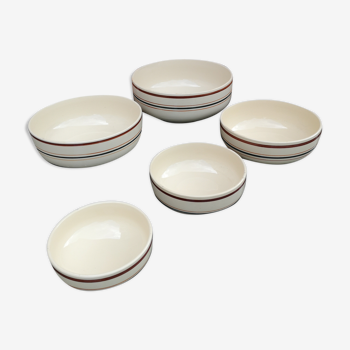 Series of 5 Gien earthenware bowls
