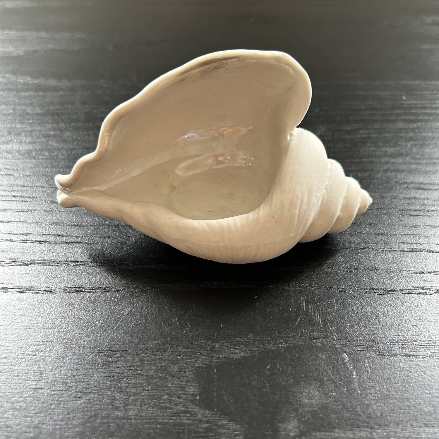 Biscuit shell candle holder