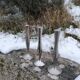 Trio of candlesticks