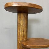 Door solid wood plants 50s