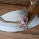 Vintage chiseled bevelled mirror under oval velvet