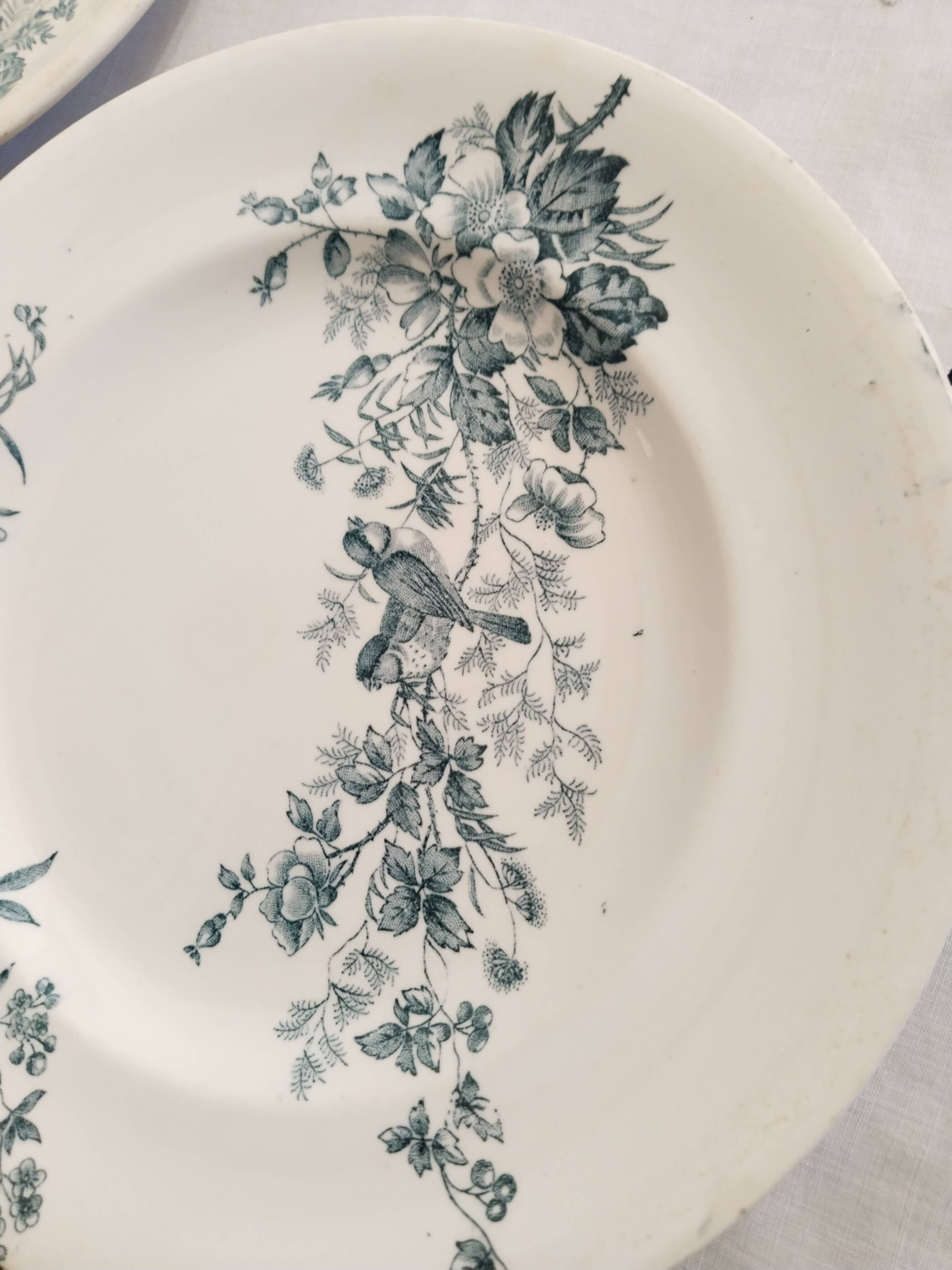 Set of 2 Longwy earthenware plates, Mignon model, blue/green