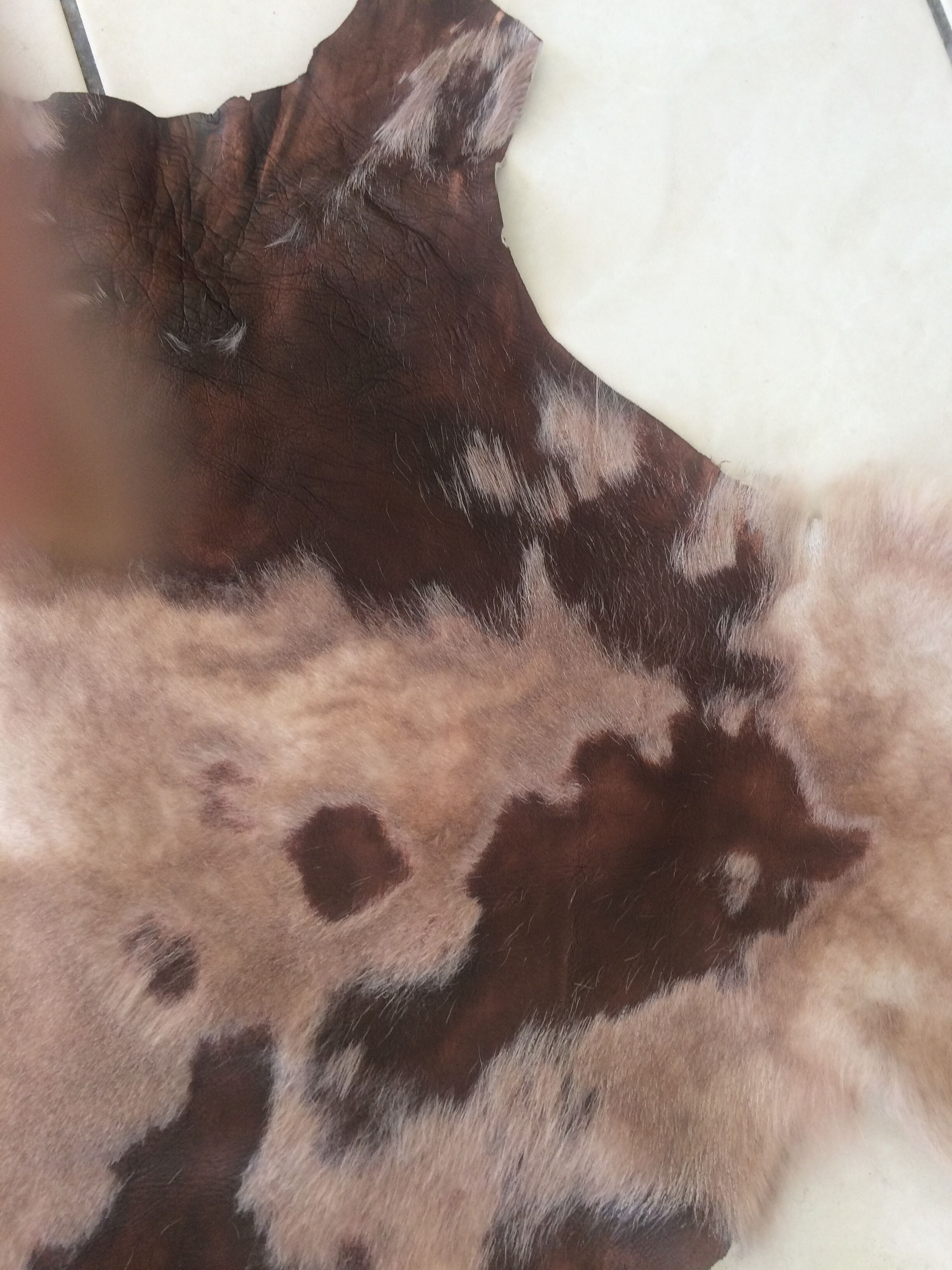 Skin several shades goat