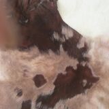 Skin several shades goat