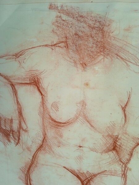 Drawing sanguine study nude female 67/50cm 1950