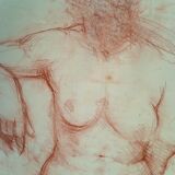 Drawing sanguine study nude female 67/50cm 1950