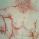 Drawing sanguine study nude female 67/50cm 1950
