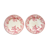 XIX old plates