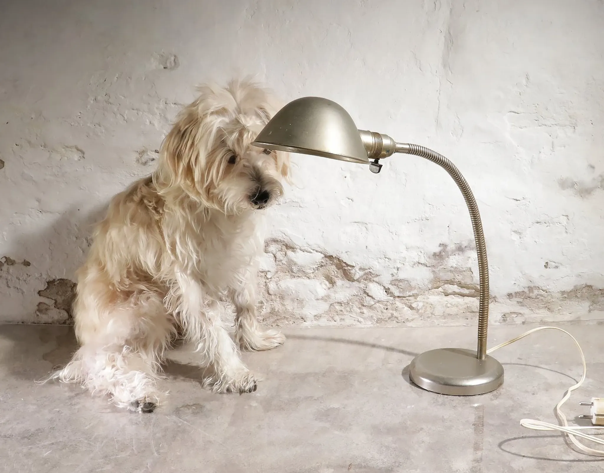 Lampe de table ou murale Midgard D.R.G.M., années 1930