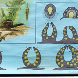 Affiche de l’école de Jung-Koch-Quentell, éponges, 1969