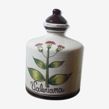 Herbarium decoration bottle