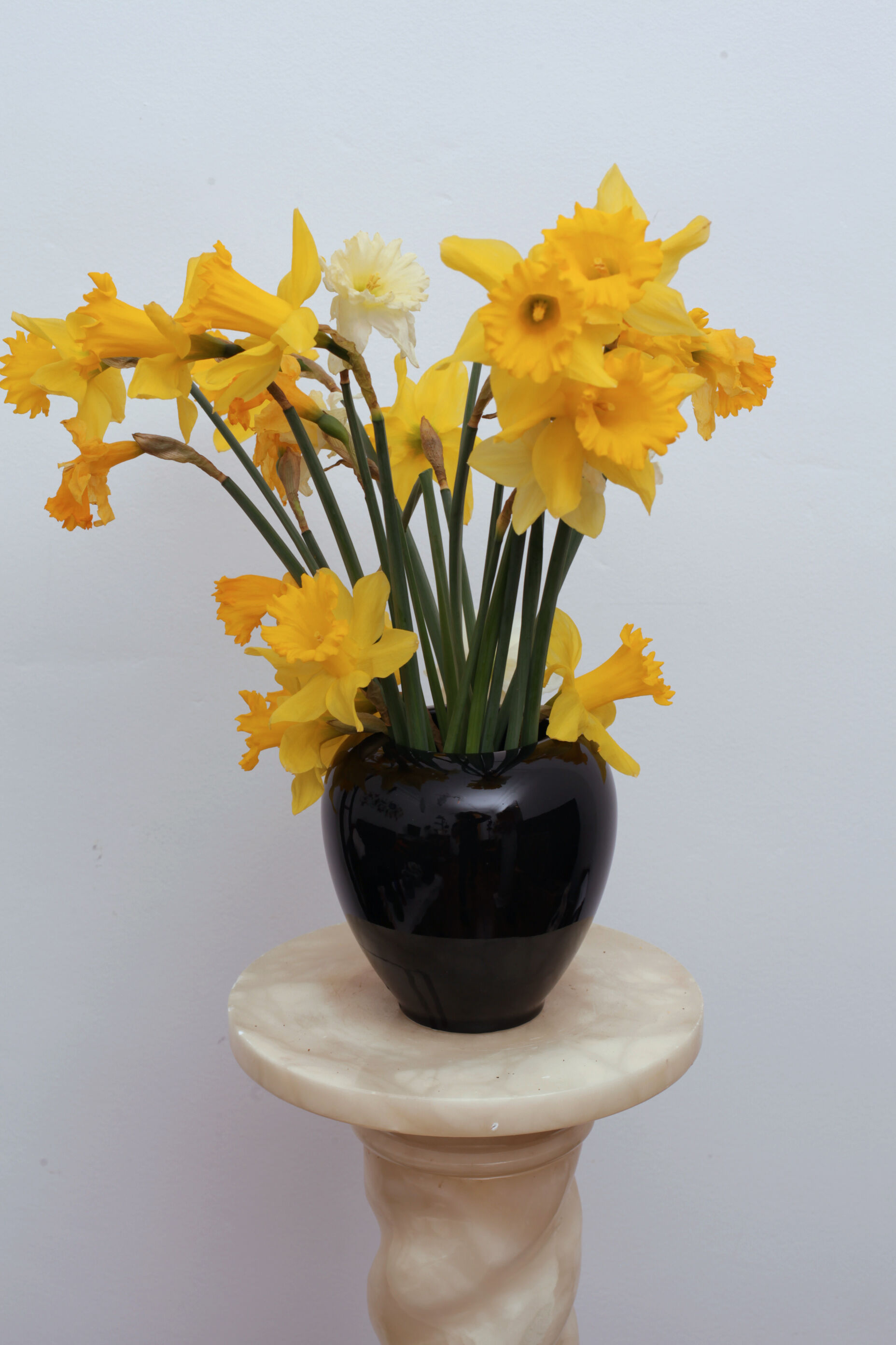 Black ceramic ball vase