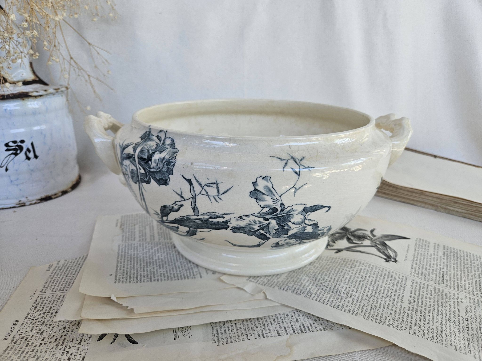 Soupière ancienne gien modèle iris
