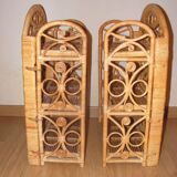 Peacock shelving lot