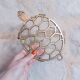 Old brass turtle trivet