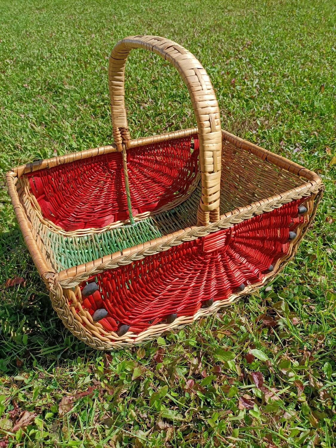 Retro Watermelon Basket