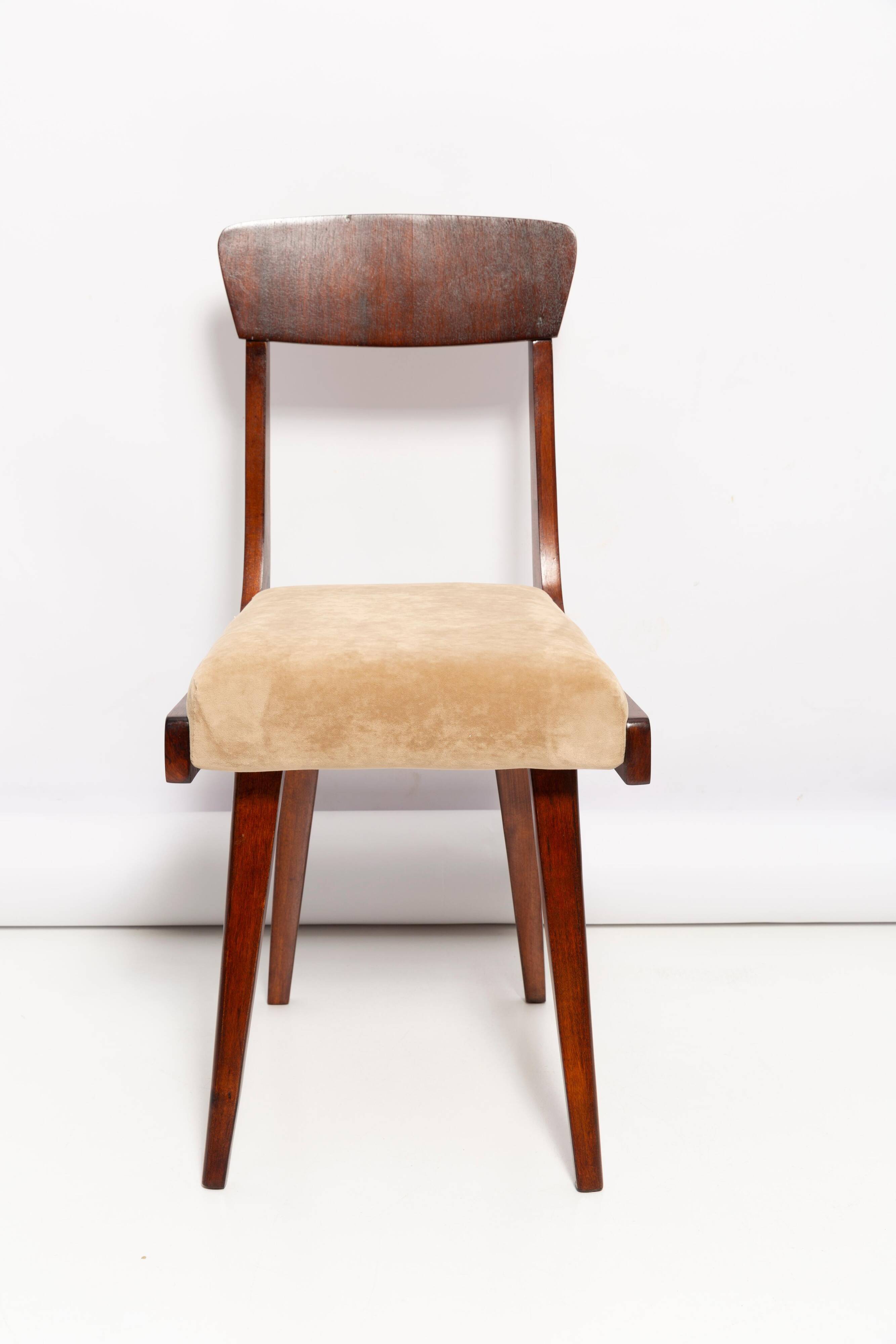 Mid-Century Gazelle beige chair in wood, Europe, 1960s