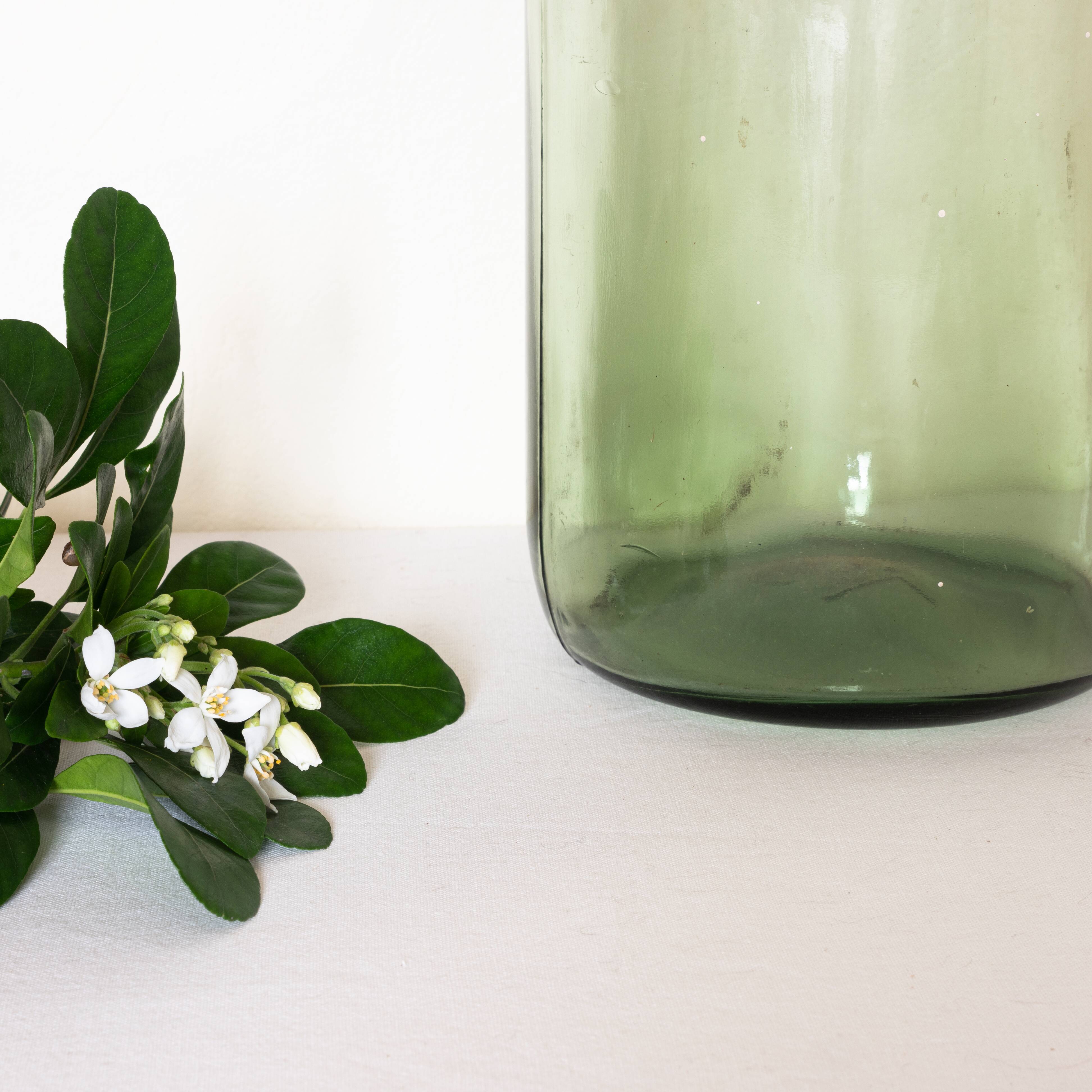 Dame jeanne bonbonne 5L vert clair