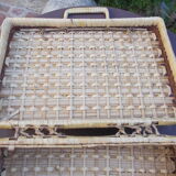 Wicker's valise