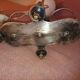 Lampe artdeco signé christofle