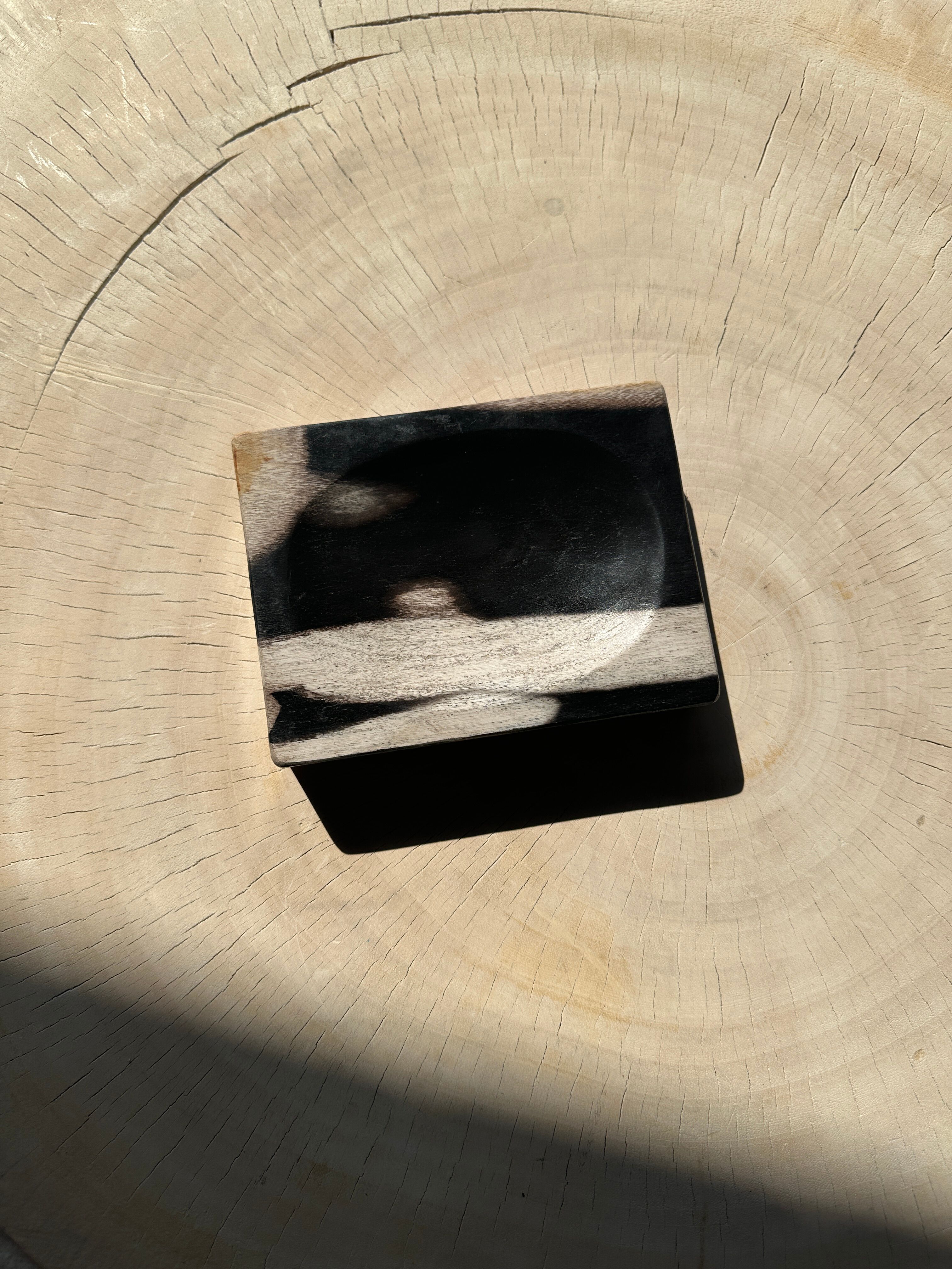 Symmetrical multicolored petrified wood soap dish